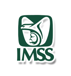 Corporativo Dorantes y Asociados - IMSS